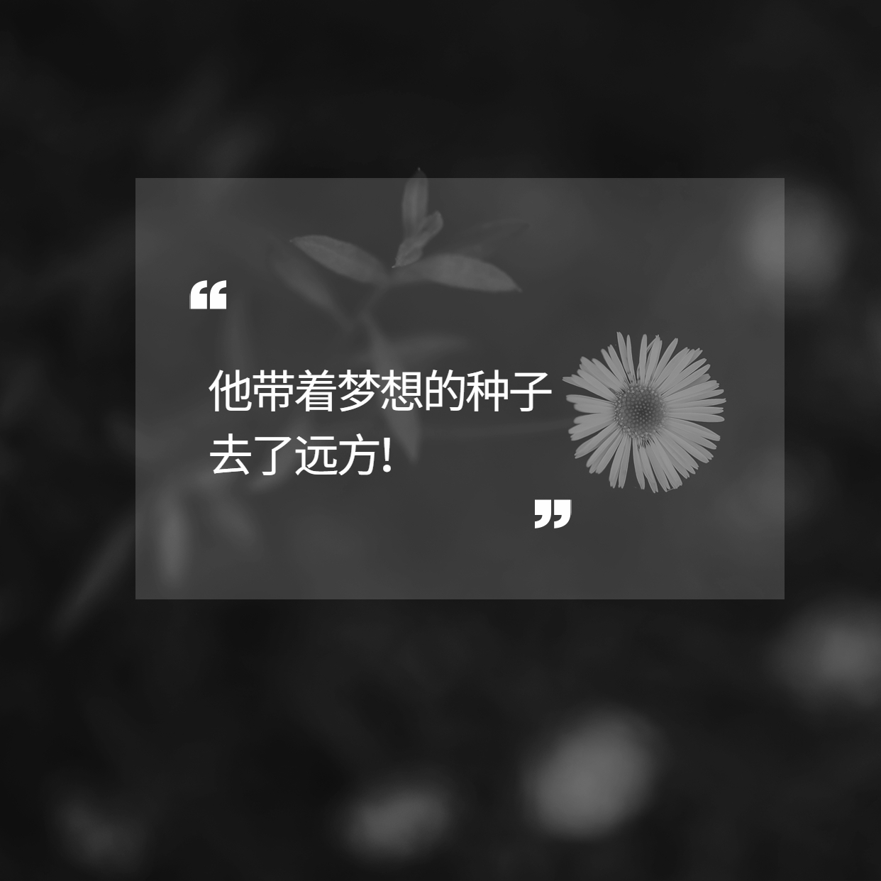 袁隆平用一粒種子的力量改變了世界！